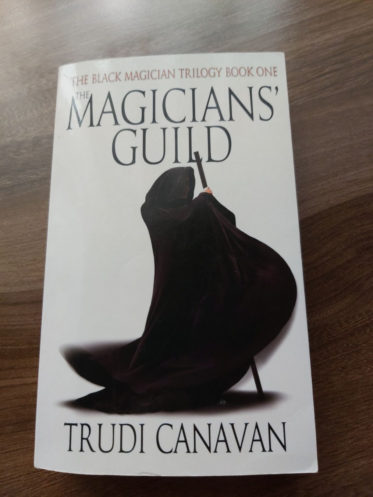 The Magicians' Guild, Trudi Canavan, Gildia Magów