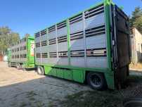 Transport żywca PRZYCZEPA JUMBO, 1998 rok.Cena 25000 NETTO PLN