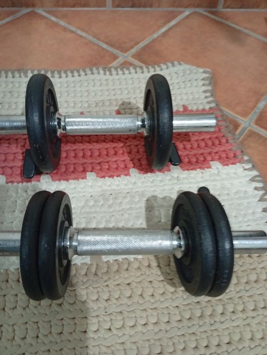 Halteres + pesos Newfit