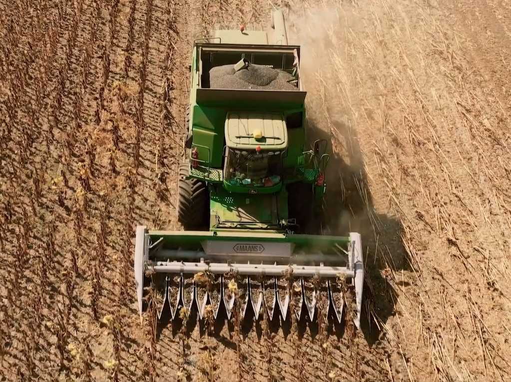 Жатка соняшникова Maans S під Клаас, Нью Холланд (Claas, New Holland).