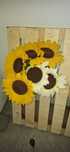Seis Flores decorativas