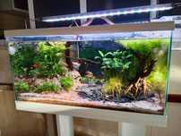 Aquario Ciano Aqua 60Litros