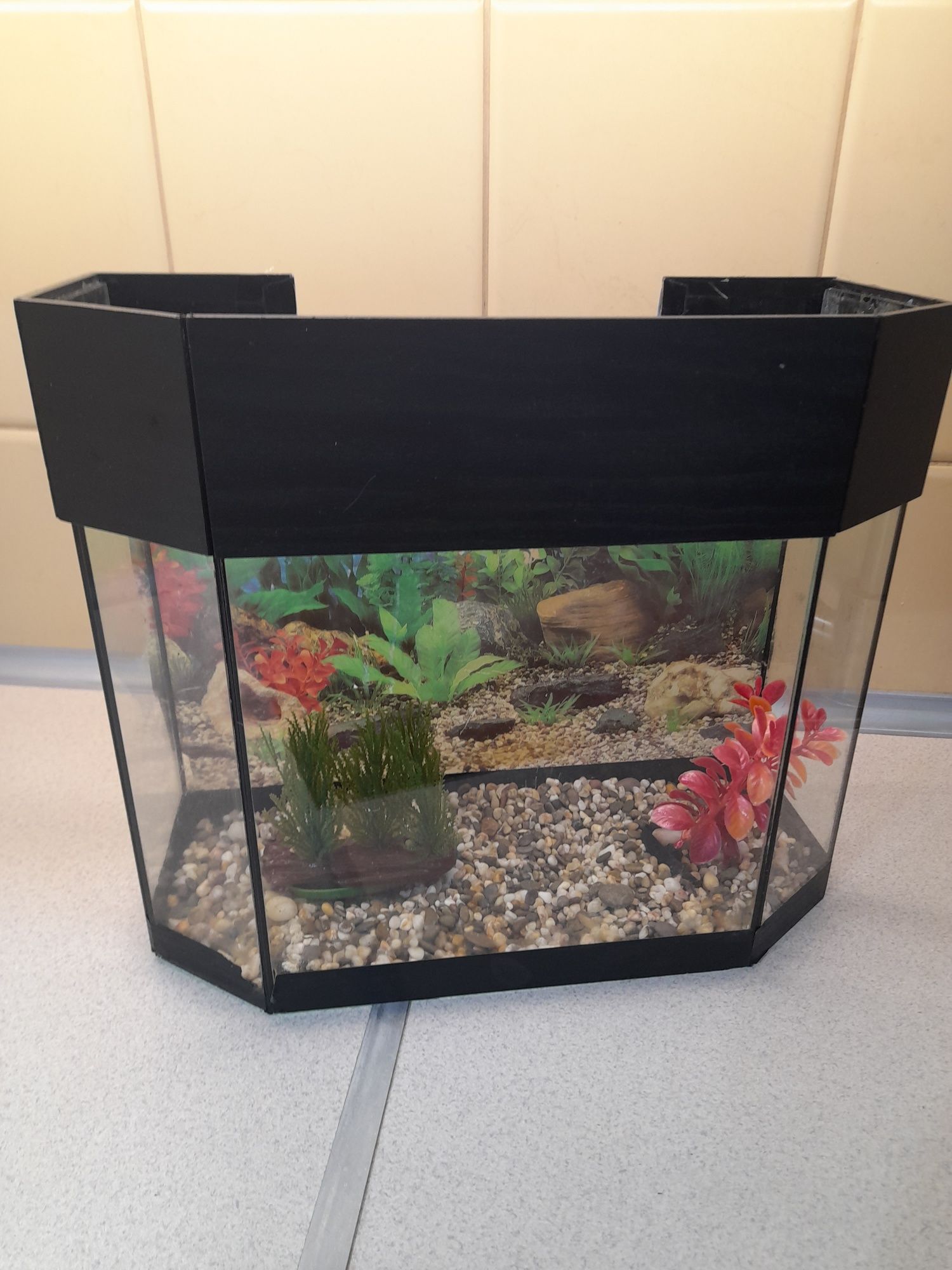 Продам  аквариум  для рыбок.