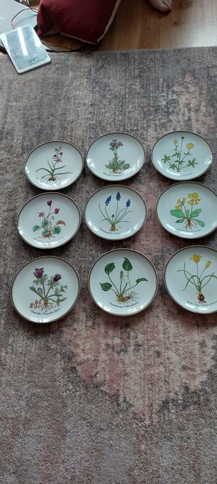 Rosenthal " Z miłości do natury" 12 talerzy