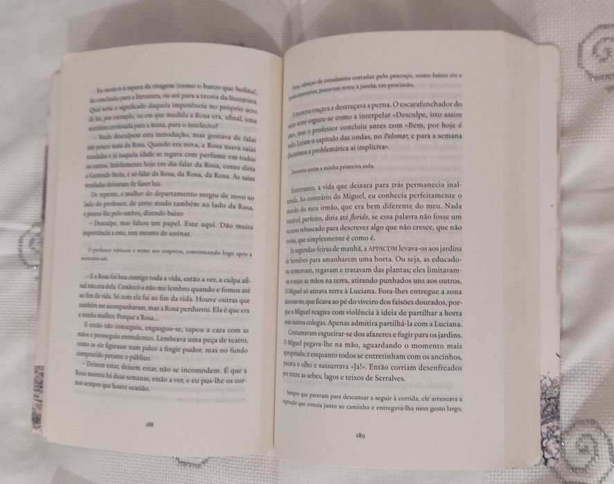 Livro o meu irmão