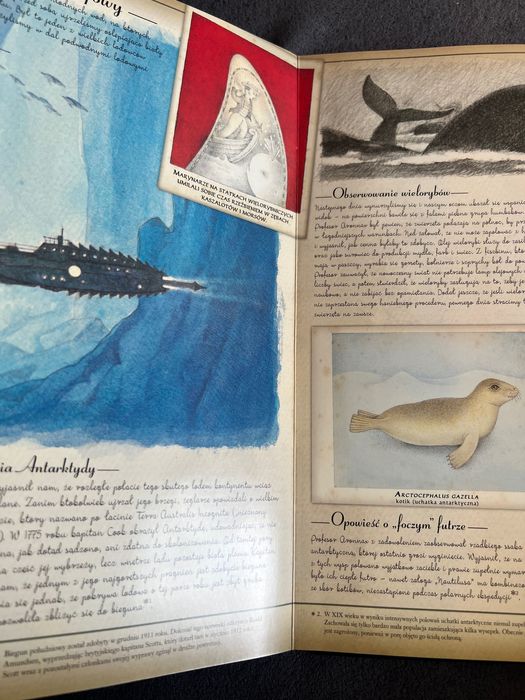 Oceanologia prawdziwa relacja z podróży „Nautilusa”