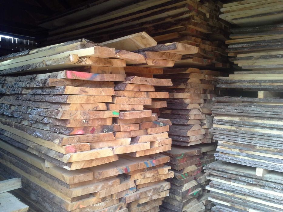 Tarcica Dębowa Dąb 50