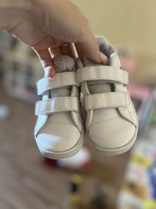 Кросівки adidas 24