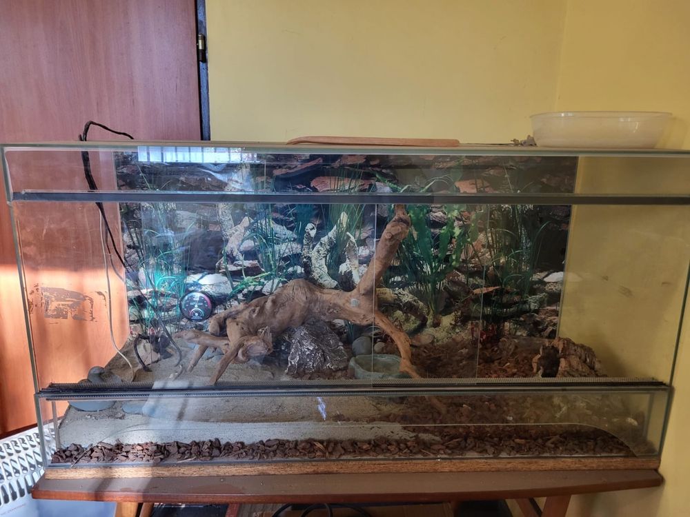 Terrarium z wyposażeniem