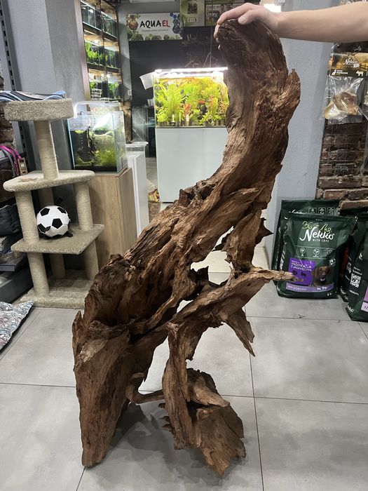 Korzeń Mangrowca 145x45x60cm Aqualife