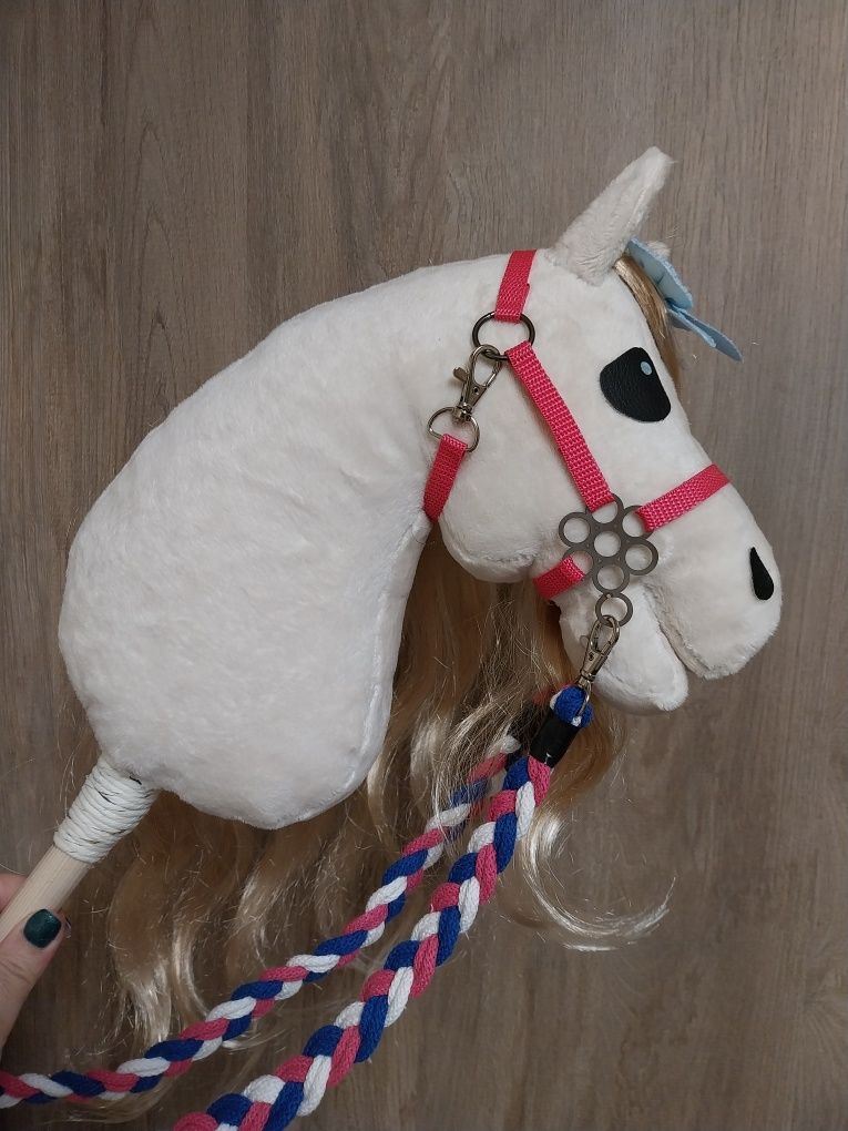 Konik hobby horse