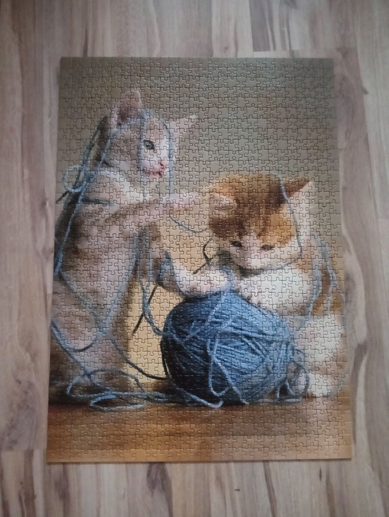 Puzzle koty 1000×2