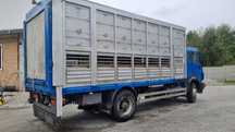 Zabudowa do przewozu zwierząt 2 poziomy  , Mercedes Actros