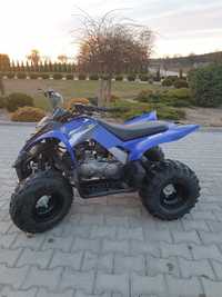 Yamaha raptor 90