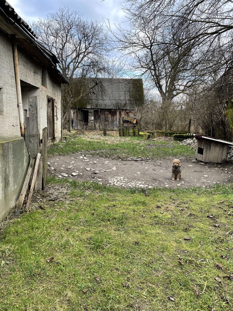 Продається  старий будинок з земельною ділянкою