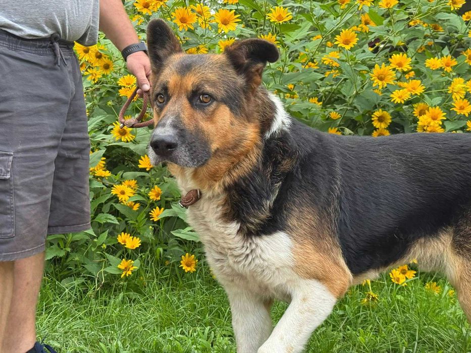 Lord dla doświadczonego opiekuna