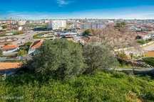 Terreno Urbano Brancanes - Setúbal