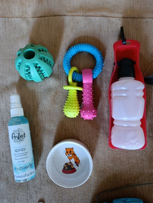 Набір аксесуарів для собак: іграшки, повідки, щітки, поїлка, намордник