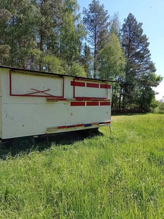 Miód leśny, lipowy, gryczany, akacjowy