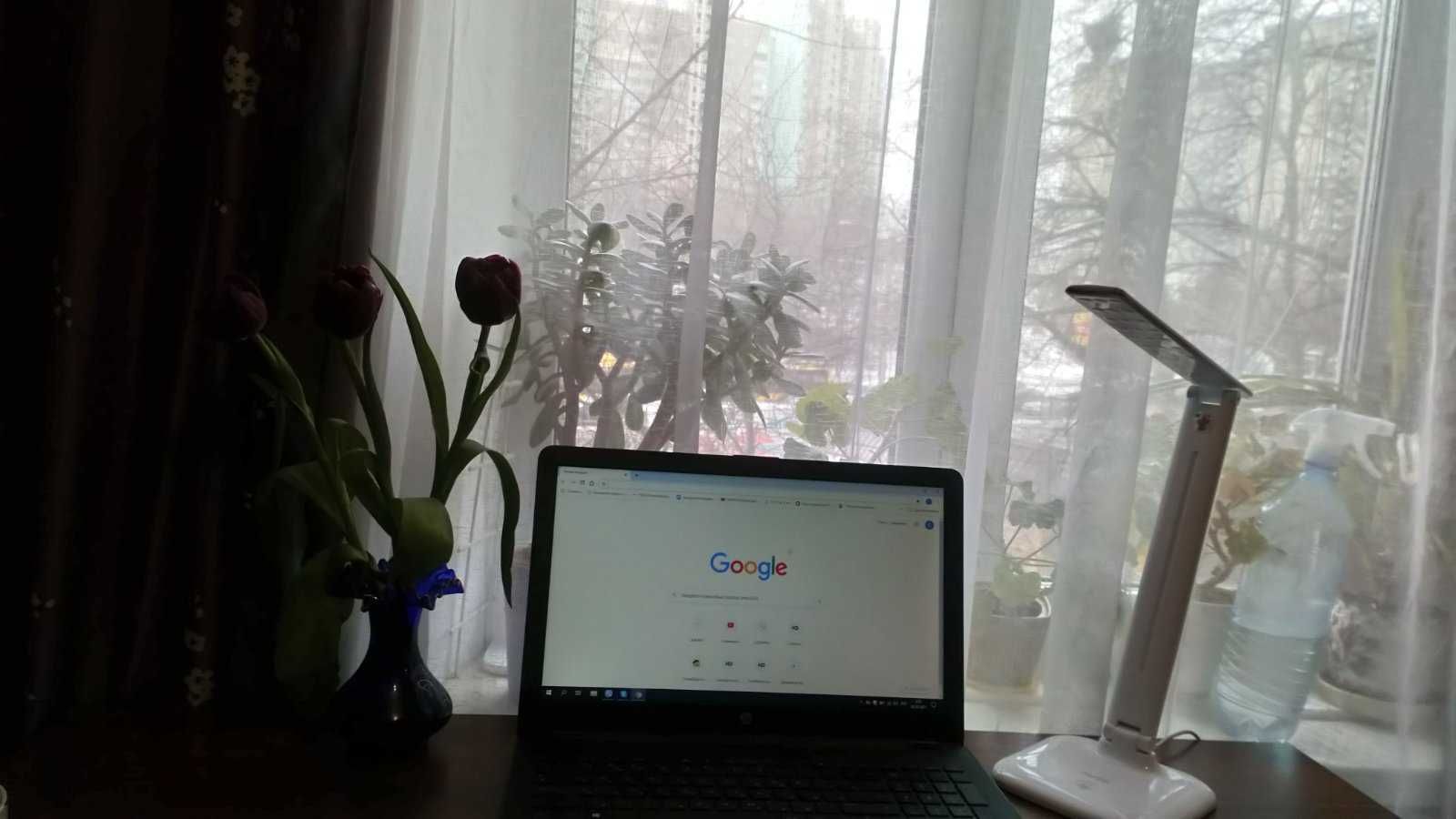 Підготовка до іститів біологія і хімія, повторення шкільного курсу