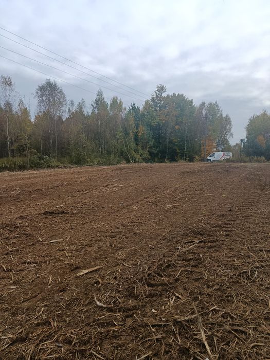 Mulczer leśny / wycinka drzew/ mulczerowanie / czyszczenie działek