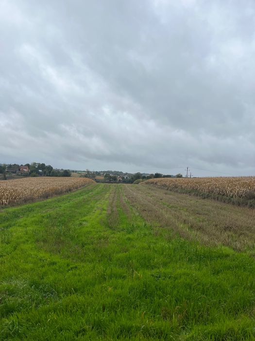 Sprzedam działkę 56 arów