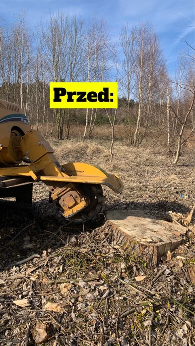 Frezowanie pni, czyszczenie działek,wycinka drzew, karczowanie