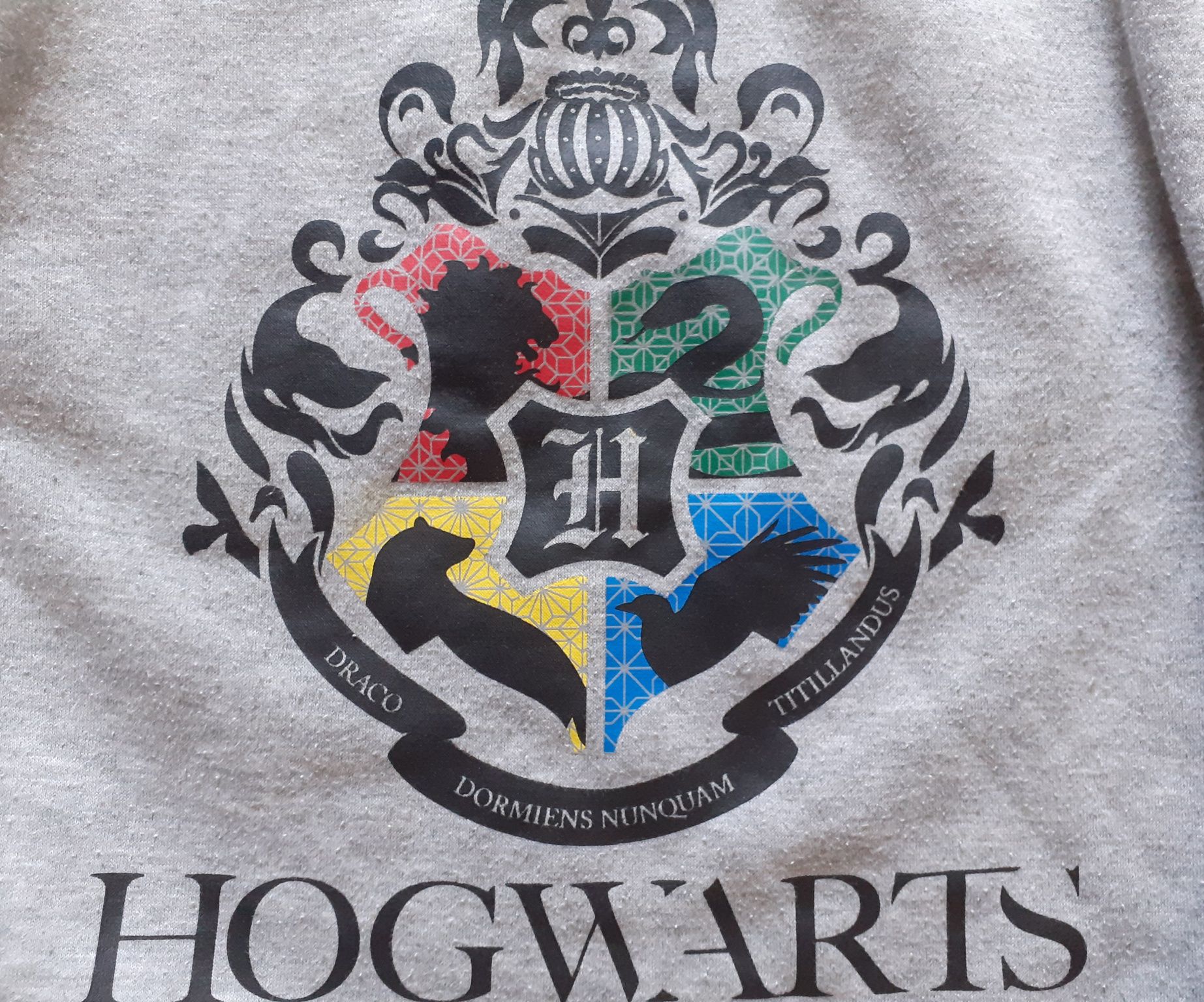 Sweat Harry Potter