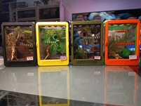 Terraria skakun terrarium i akcesoria skakuny różne kolory i warianty