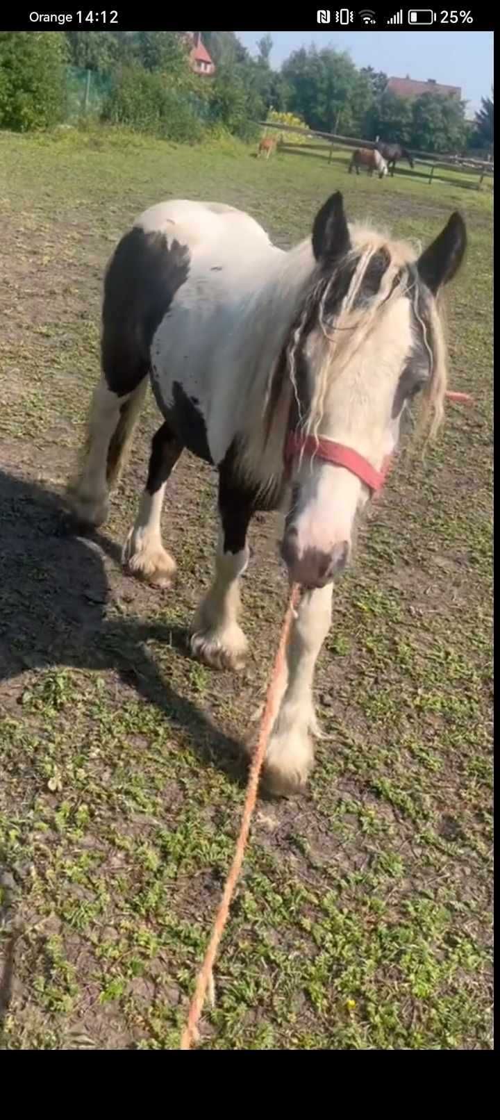 Sprzedam lub zamienie !