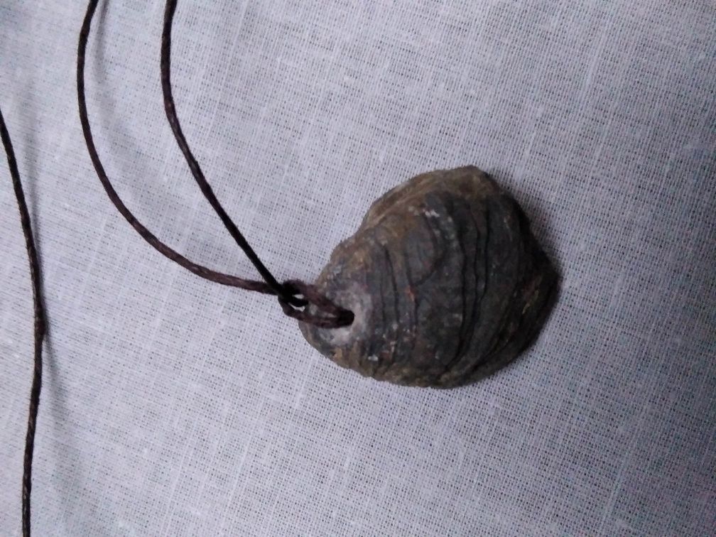 wisior amulet małż chlamys