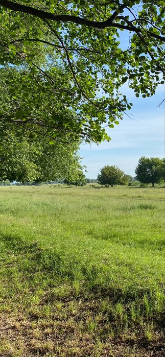 Земельна ділянка