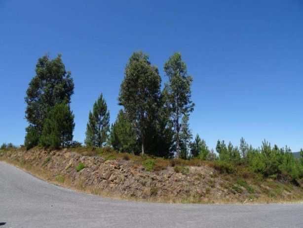 Terreno 2mil metros quadrados com casa em pedra para restauro.