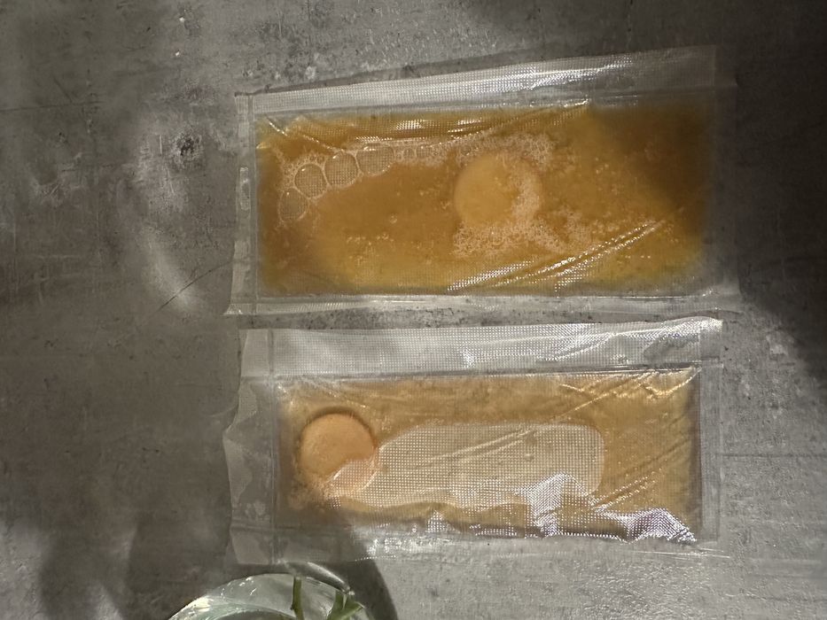 Grzybek herbaciany kombucha scooby starter