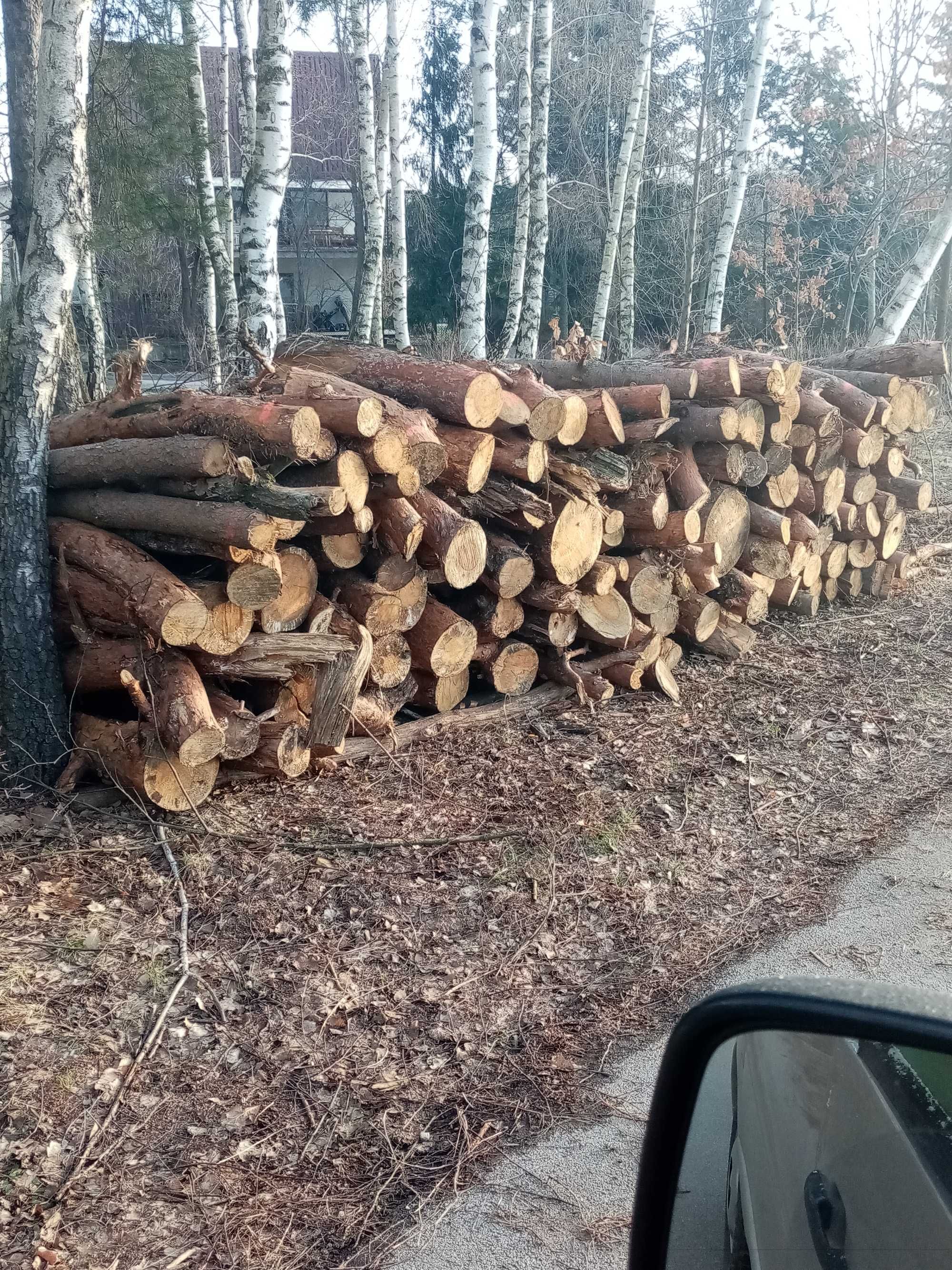 Sprzedam drzewo na opał