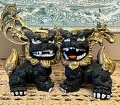 Casal de cães de foo