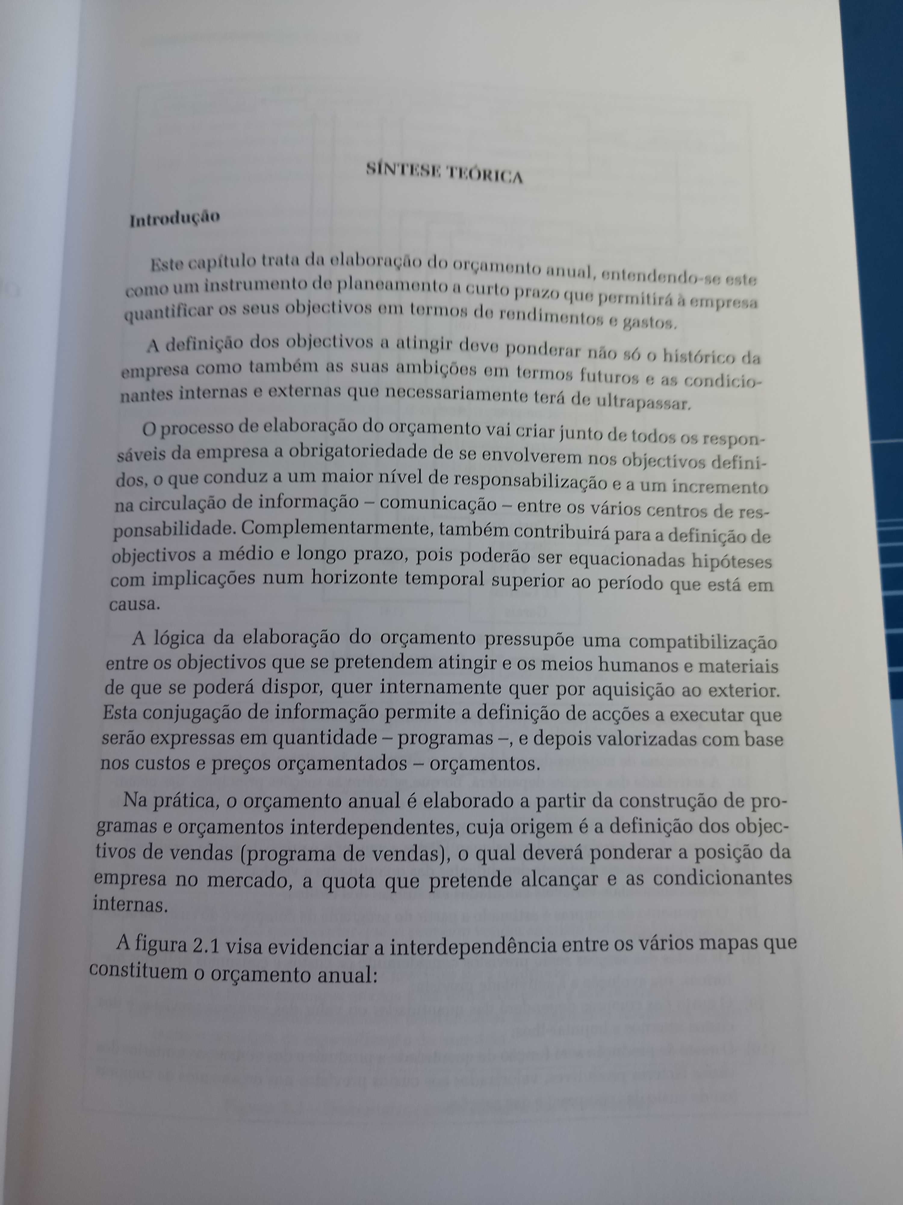 Temas Contabilidade de Gestão orçamental e medidas financeiras