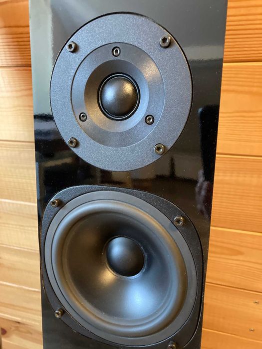 Kolumny podłogowe MILLON Cobra I (dziś: Stradivari Audio, Holandia)