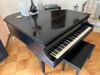 Fortepian Baldwin Grand piano model r 1967