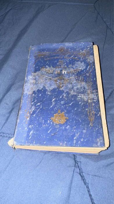 Livro SERÕES DA PROVINCIA VIGESIMA NONA EDIÇÃO