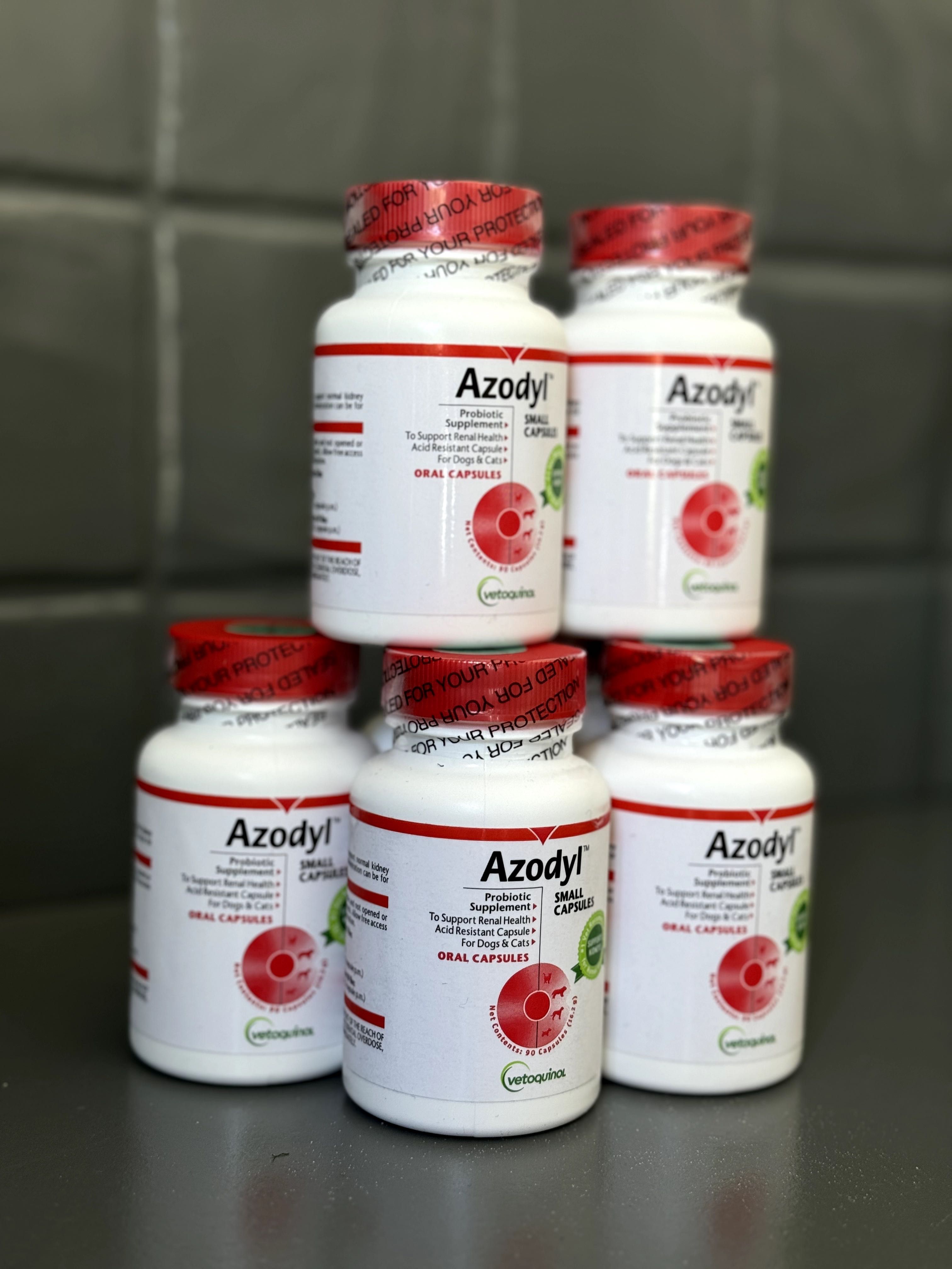 Azodyl - NOWY suplement probiotyk nerki kot pies 90kaps