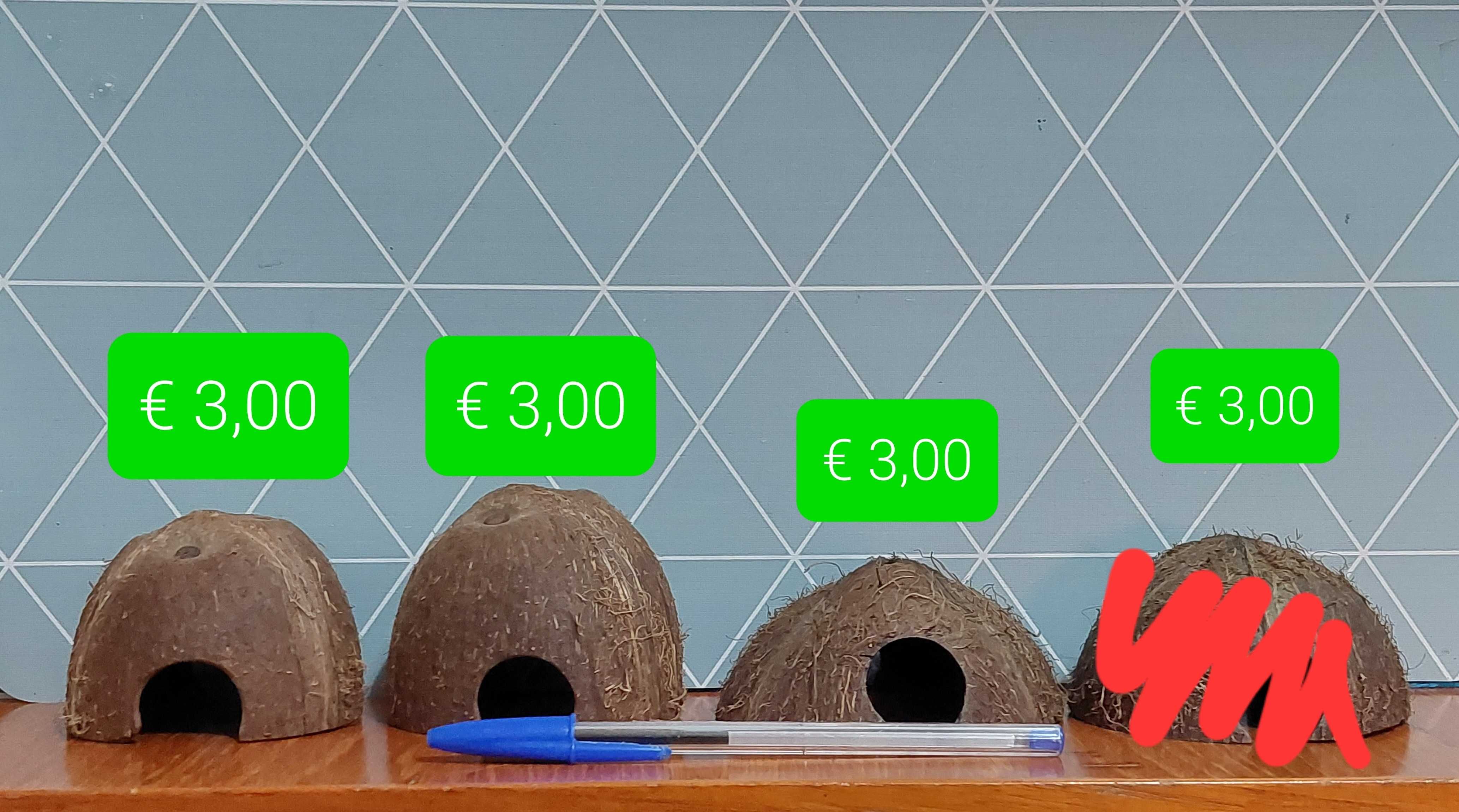 Casca de coco tratada é só meter no aquário. Toca, esconderijo Camarão