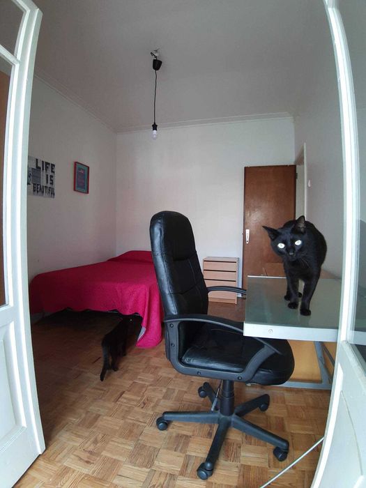 Quarto com varanda em Coimbra