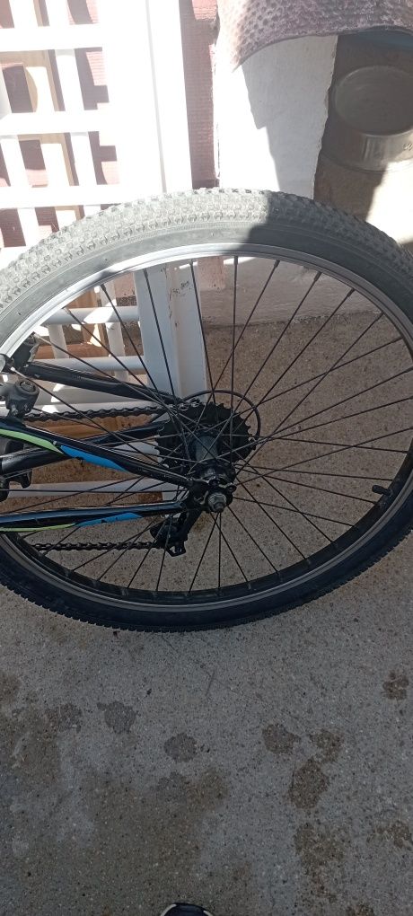Bicicleta criança Roda 24 Berg