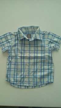 Koszula dla chłopca z krótkim rękawem rozmiar 86 H&M