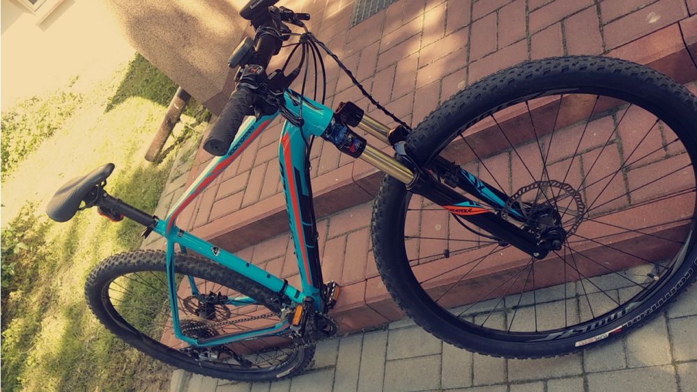 specialized rockhopper 29