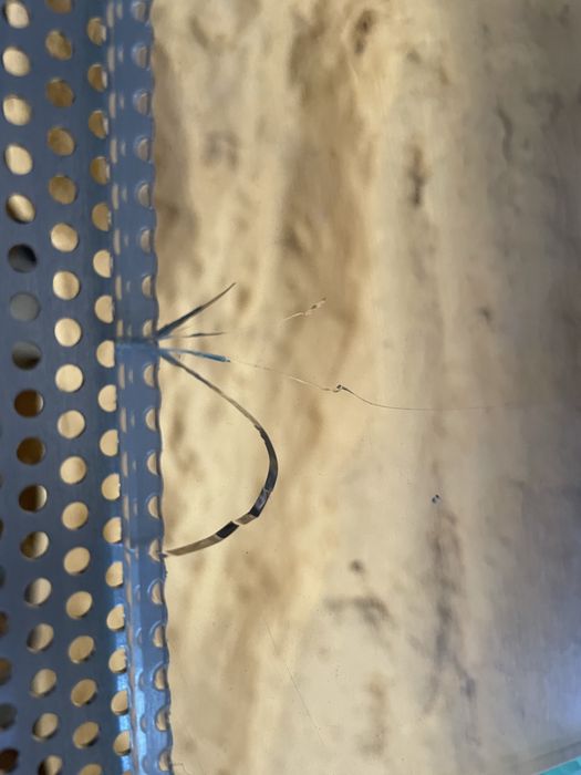 Terrarium własnoręcznie robione + wyposażenie