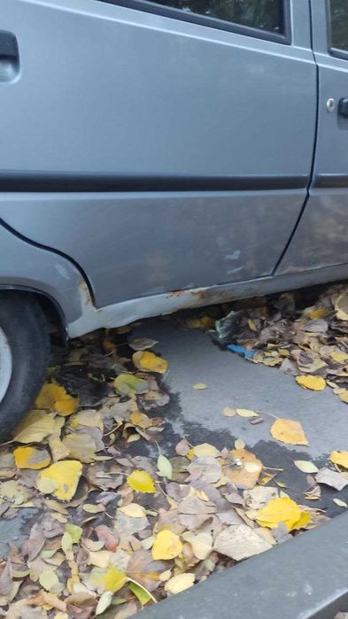 Славута 2010 г. салон люкс