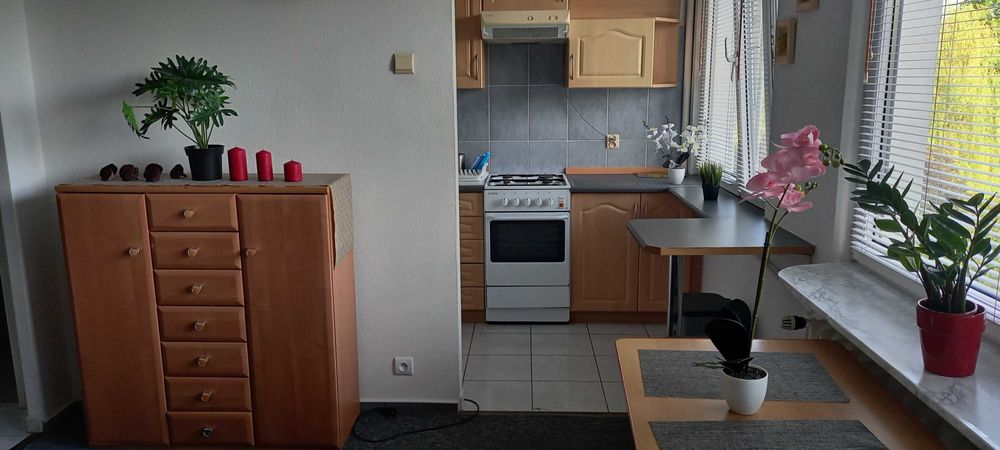 Wynajmę przytulne mieszkanie 2-pokojowe – LSM, Lublin