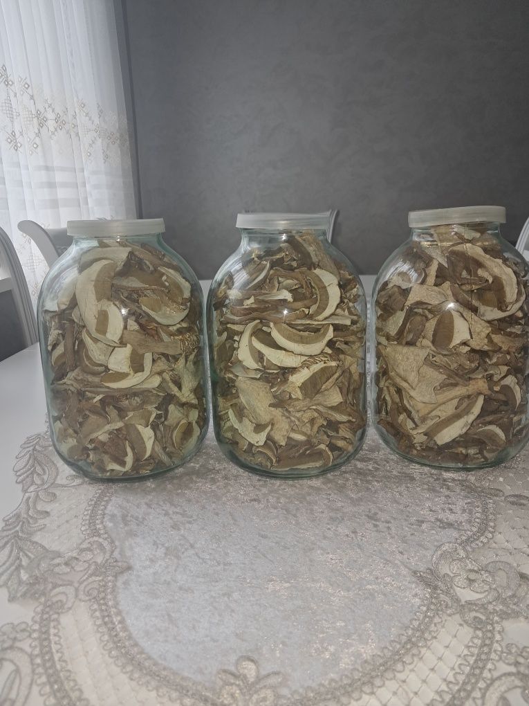 Продам білі гриби